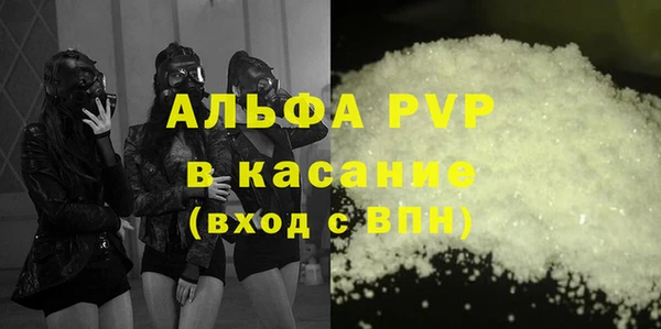 прущие грибы Арсеньев