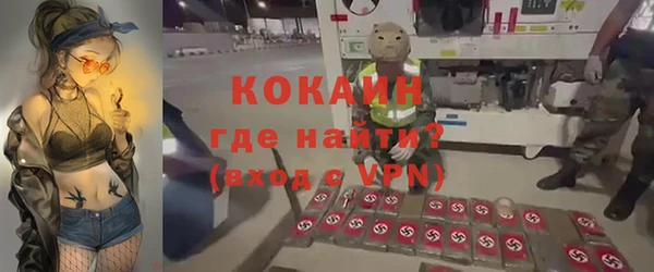 прущие грибы Арсеньев