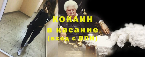 прущие грибы Арсеньев