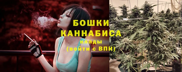 мдпв Дмитровск