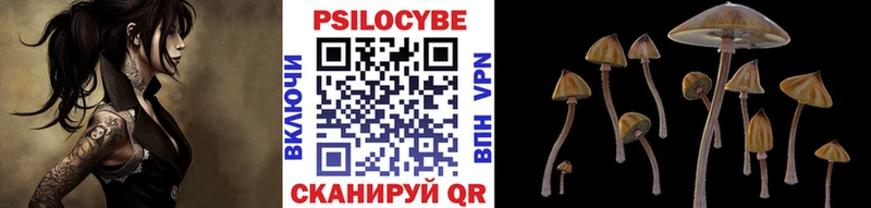 Галлюциногенные грибы Cubensis  Ульяновск 
