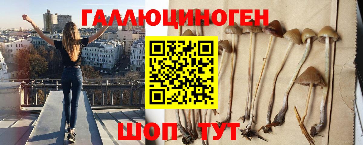 Ульяновск  Псилоцибиновые грибы GOLDEN TEACHER  Галлюциногенные грибы MAGIC MUSHROOMS  Вход с VPN 